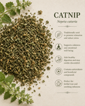 Catnip Root (1 oz)