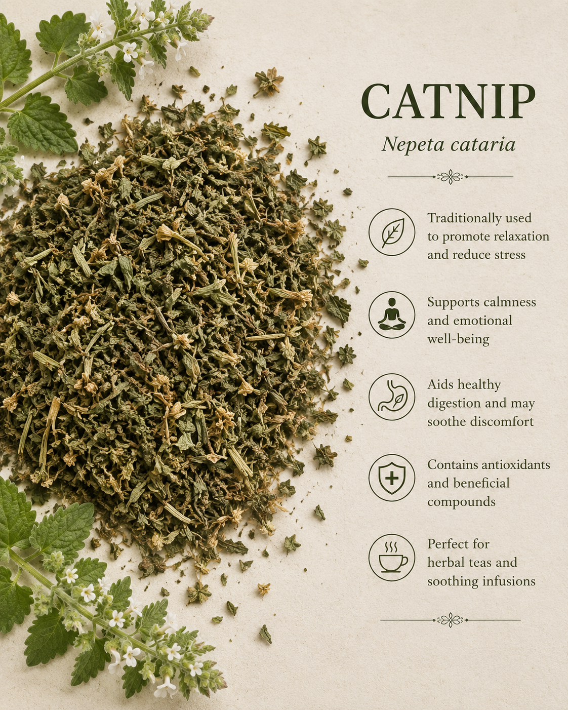 Catnip Root (1 oz)