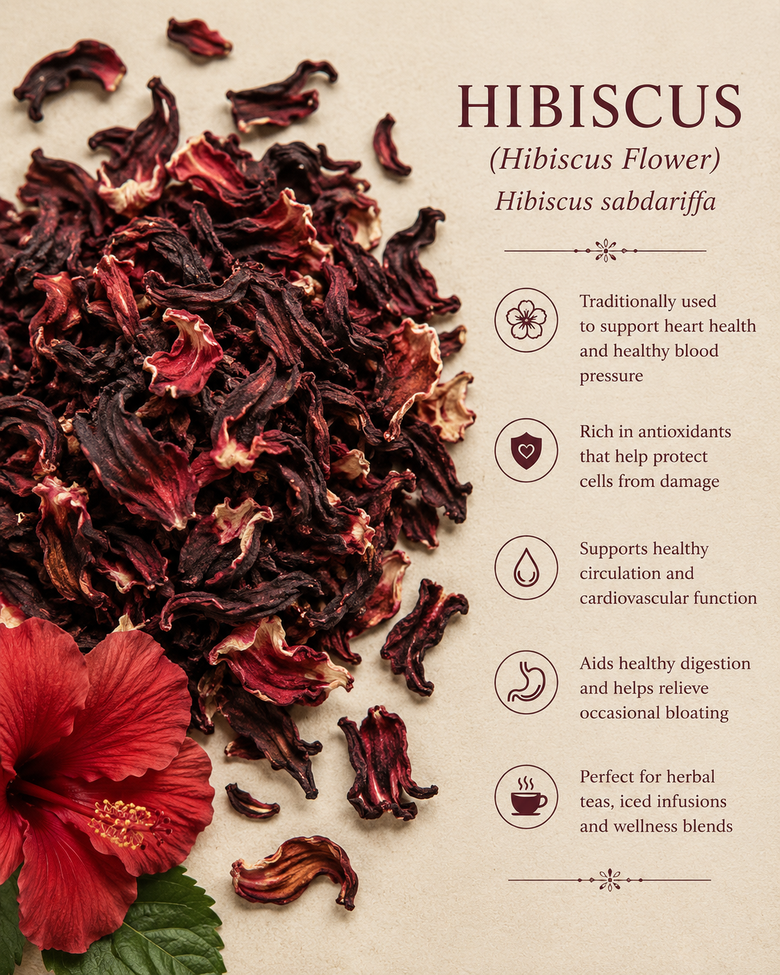 Hibiscus Flower