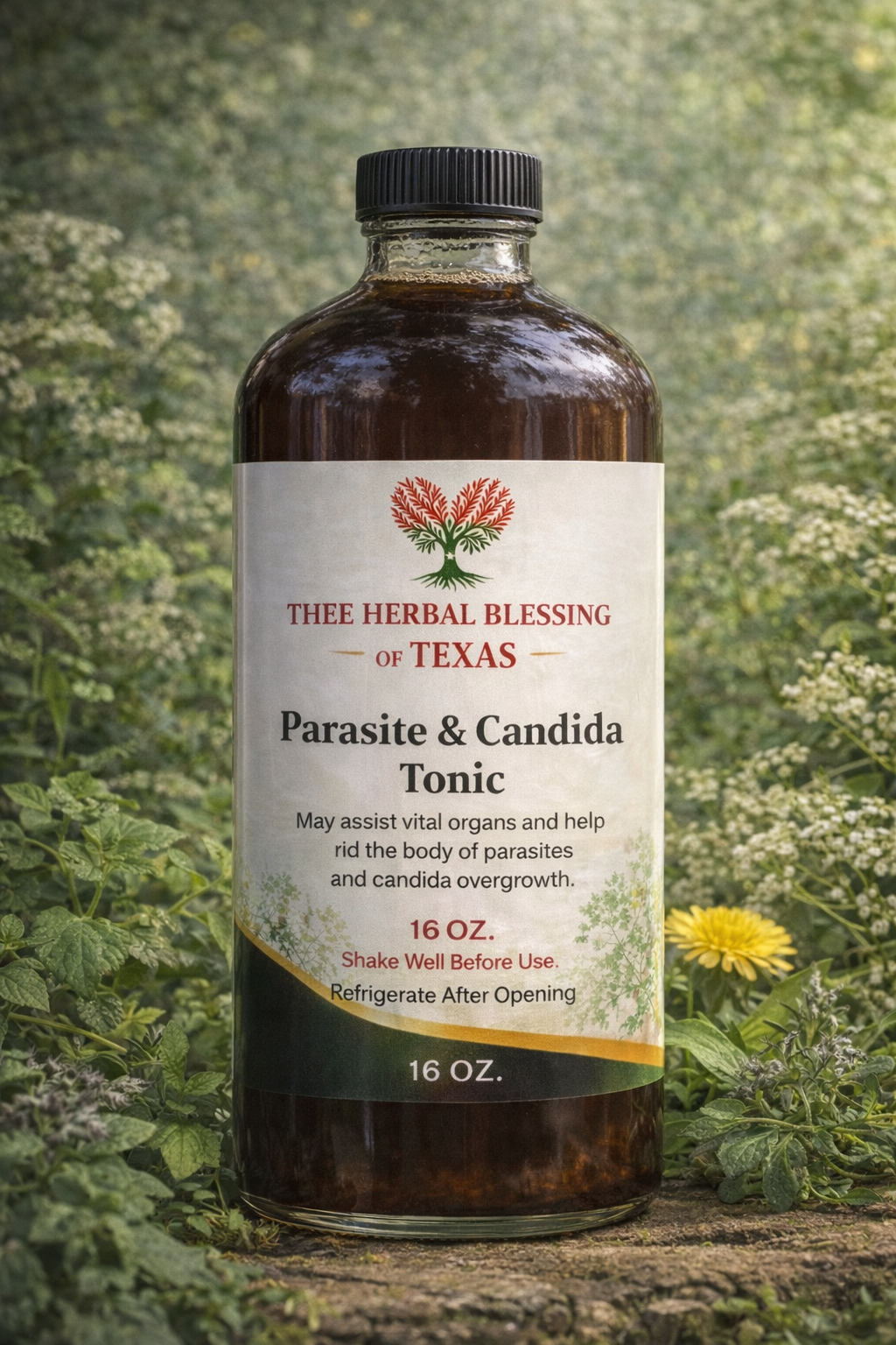 Parasite & Candida Tonic (16 oz)