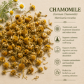 Chamomile Whole  (1 oz)